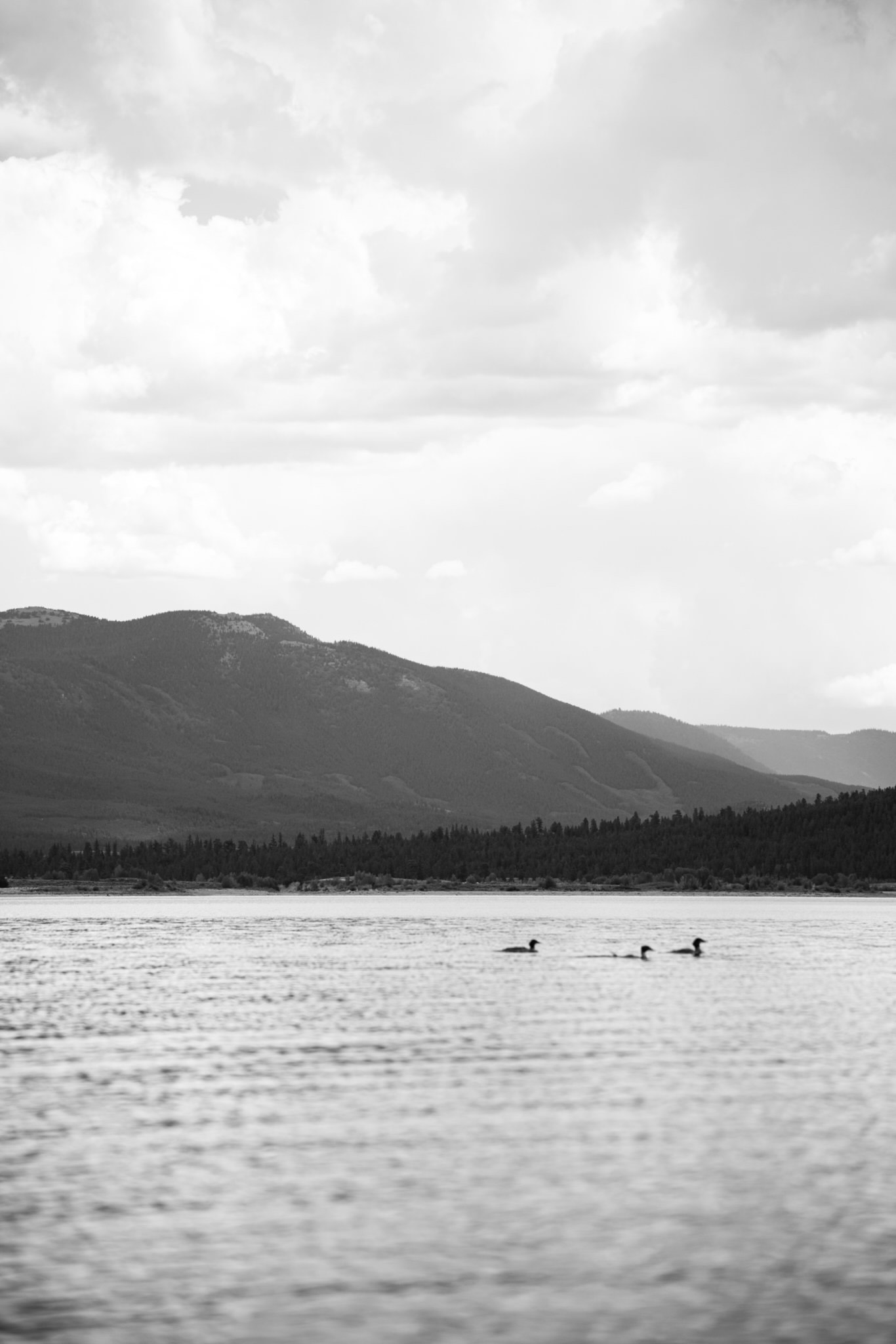 Lake
